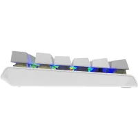 Клавиатура A4Tech Fstyler FS100 Neon (серебристый/серый) фото 9